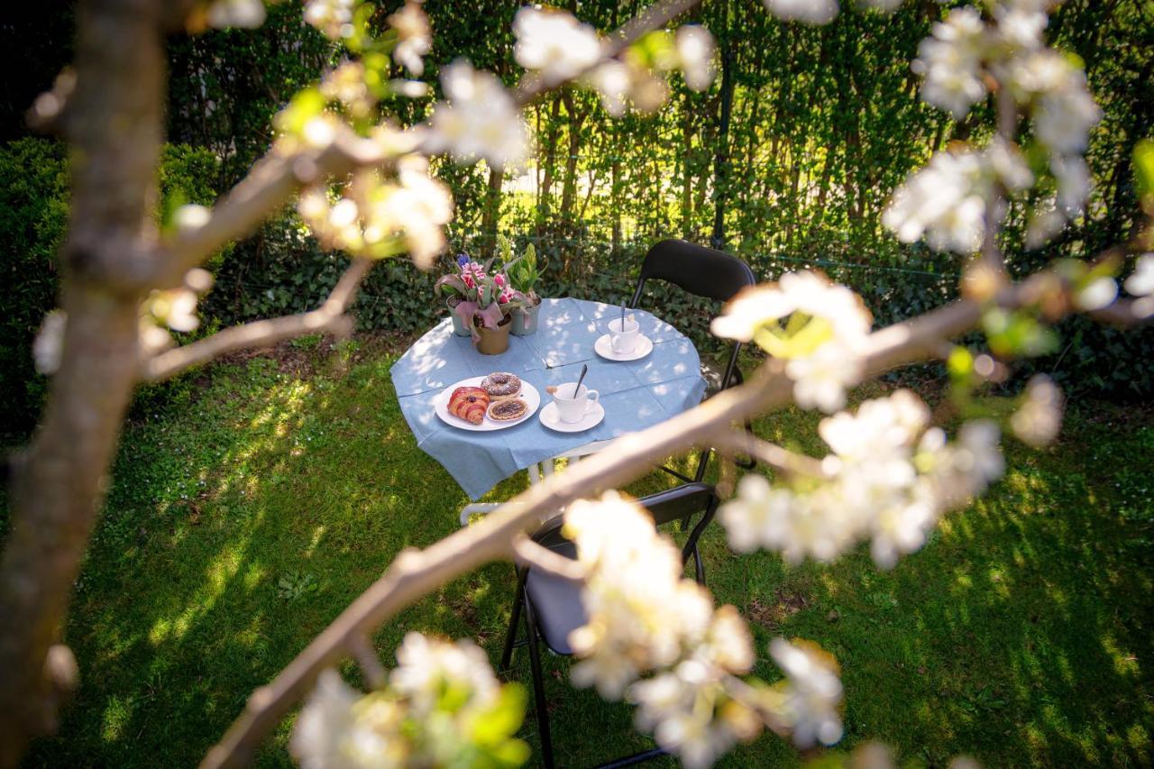 My Sweet Garden - By Myhomeincomo Cassina Rizzardi Екстериор снимка